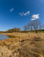 view on pond and reeds in autumn with clouds on blue sky