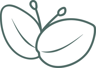 Greenery Eucalyptus vector