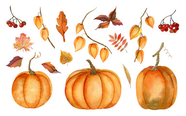 Autumn big set with orange watercolor Pumpkins and fall yellow Leaves on white isolated background. Red berry of ashberry and physalis branches. Hand drawn illustration