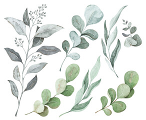 Vintage watercolor eucalyptus. Tender set with foliage