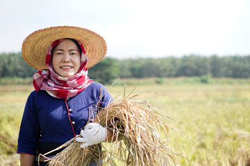 Asian female farmer wear hat, Thai loincloth covered her head , stands at paddy field. Concept : Agriculture occupation. National farmer. Organic farming.    