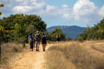 Fototapeta premium Camino de Santiago