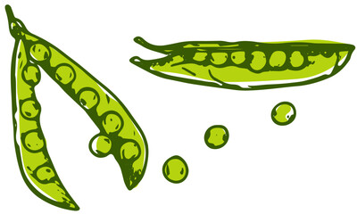 vegetable-Green Pea