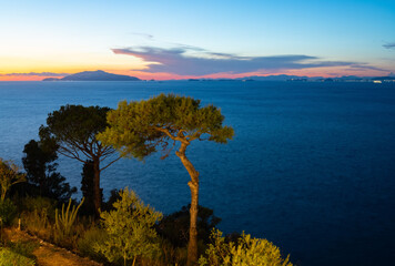 Colorful Capri sunset panorama near famous “Grotta azzurra“ (Blue cave). Silhouettes of pine...