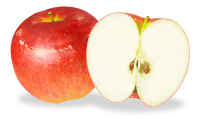 繊細なタッチのりんごのイラスト　PNG　背景　透明　透過