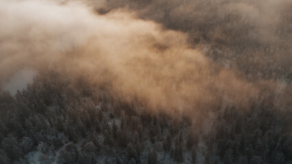 Aerial view of a Finnish coniferous forest covered with snow in the morning fog, illuminated by the orange light of the sunrise. Sotkamo area, kainu region, Finland. Scandinavian forests