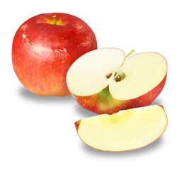 繊細なタッチのりんごのイラスト　PNG　背景透過　透過　透明