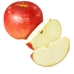 繊細なタッチのりんごのイラスト　PNG　背景透過　透過　透明