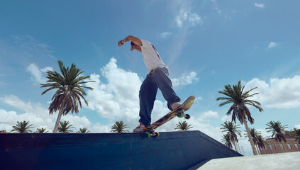 Skateboarder doing a trick in a skate park