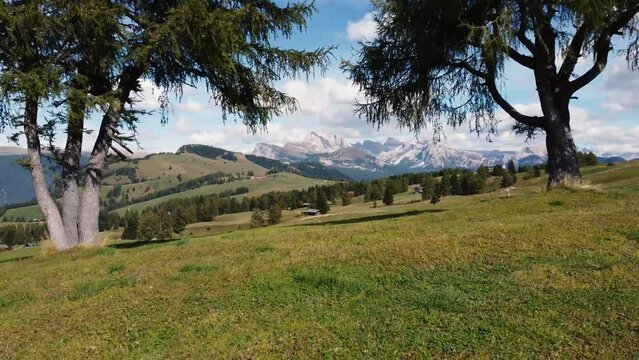 Alpe di Suisi, Dolomites. Aerial drone view of Alpine meadow mountain Plateau in Italy. Sunrise morning landcape scenary at idyllic Seiser Alm valley in South Tyrol. Europe