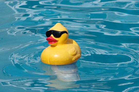 yellow rubber duck in the pool