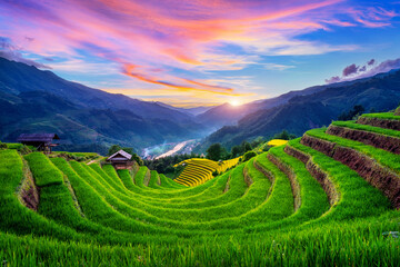 Mooie rijstterrassen bij zonsondergang in Mu cang chai, Vietnam.
