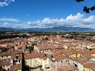 Fototapeta na wymiar Views from the top of Guinigi Tower in Lucca, Italy