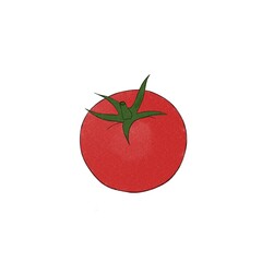 delicious ripe red tomato - watercolor freehand illustration of a vegetable