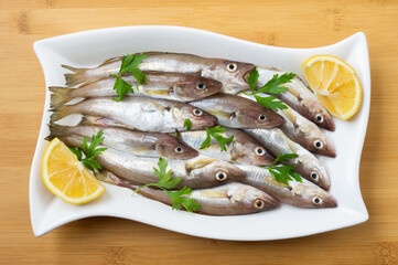 Fresh uncooked haddock fishes on in ceramic dish on table, raw whiting fish concept