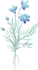 Forget-me-not bouquet. Watercolor clipart	
