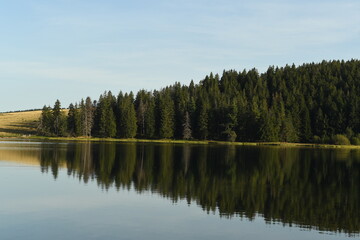 Fototapeta na wymiar le lac de servières en auvergne en france 