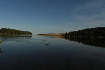 Le lac de servières à orcival en Auvergne en France