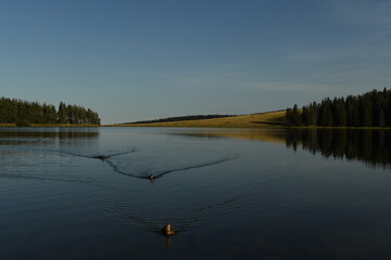 Le lac de servières à orcival en Auvergne en France