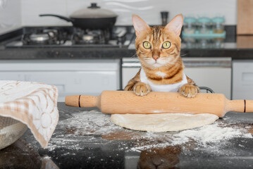 A domestic cat rolls out pizza dough on the kitchen table using a rolling pin.