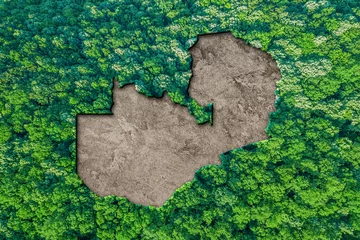 Foto op Aluminium Sustainable habitat Map of Zambia © allexxandarx