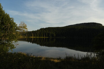 Fototapeta na wymiar la forêt du lac de servières en auvergne en france 