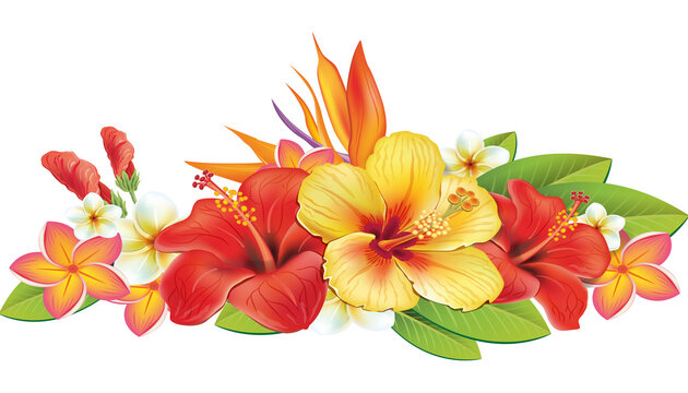 Fototapeta Arrangement from Hibiscus and tropical plants 