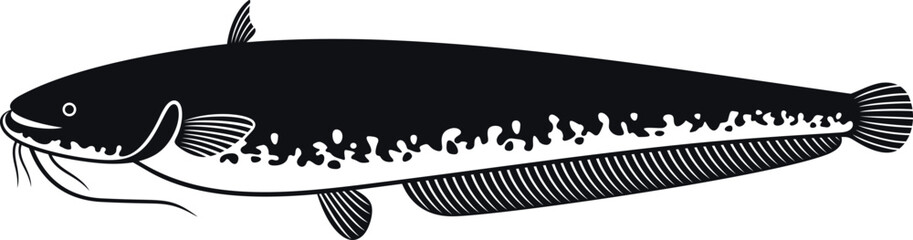 European  catfish logo. Isolated catfish on white background