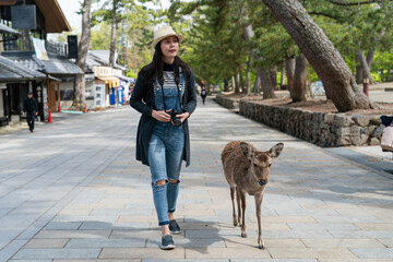 full length of Asian Japanese girl traveler taking leisure walk on paved shopping street with a deer near Todaiji Temple in nara japan at springtime - obrazy, fototapety, plakaty