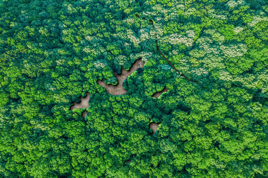 Sustainable Habitat Map Of French Polynesia