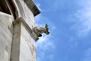 Gargolla e statua fantastica con cielo e nubi © mauro tombolini
