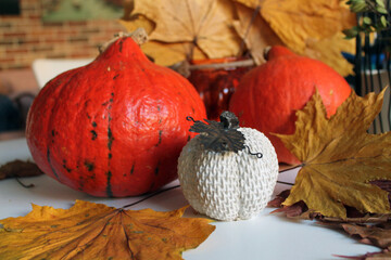 Orange ripe pumpkins, a bouquet of dried flowers and maple leaves, decor for the Halloween holiday....
