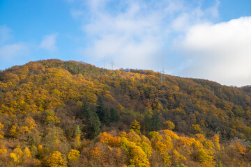 Fototapeta premium Panoramic view of a forest on the slope in autumn with colorful leaves