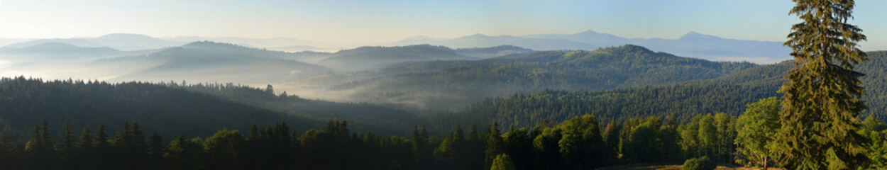 Sonnenaufgang über den Bergen  Panoramablick. Silhouetten von Berggipfeln und Morgennebel. Dichter Wald im Vordergrund. © vlukas