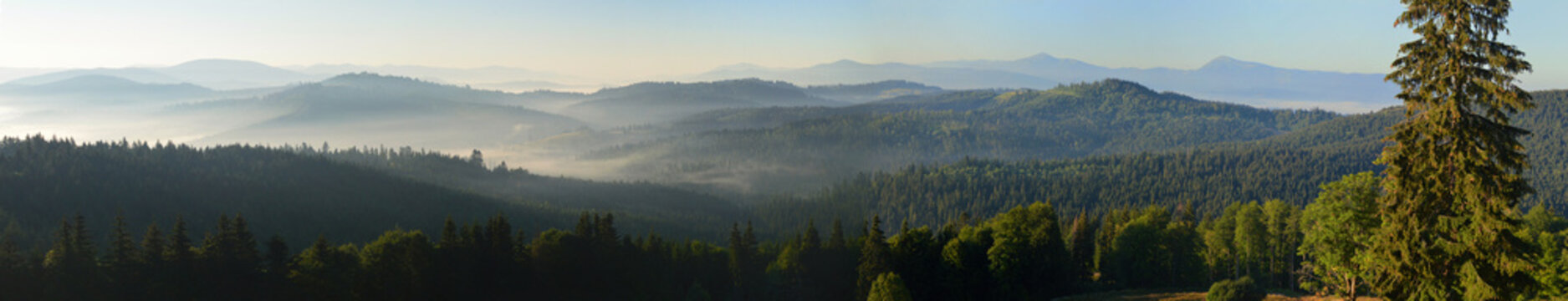 Sun rising over the mountains; panoramic view. Silhouettes of mountain peaks and morning fog. Dense forest in the foreground.