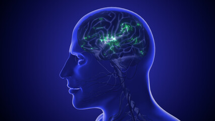Human nerve network digital artificial intelligence 3D illustration
