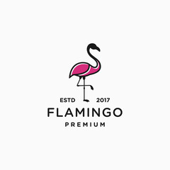 flamingo logo design vector illustration