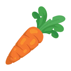 Fotobehang carrot vegetable icon © Jemastock