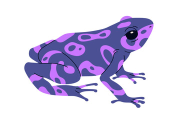 Poison dart frog of purple color. Exotic amphibian reptile. Tropical violet toxic froglet with spots. South American Amazon animal. Flat vector illustration isolated on white background