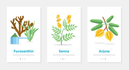 Vector design of onboarding screens with nutrition food supplements. Modern and simplified illustrations with plants. Template for mobile app