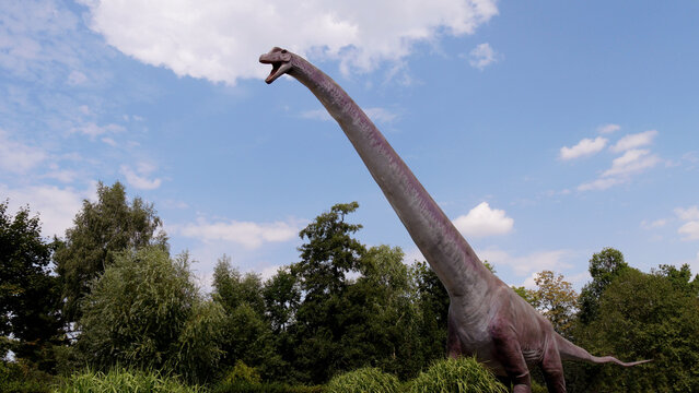 Gigantic herbivorous dinosaur - Brachiosaurus. Dino in the nature.	