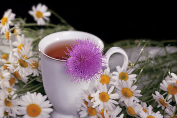 Obraz na płótnie Canvas a white cup of tea. Tea with chamomile and milk thistle. Autumn drink. Warm autumn tea. From a cold. cozy autumn photo with tea. medicinal herbs.