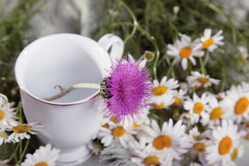 a white cup of tea. Tea with chamomile and milk thistle. Autumn drink. Warm autumn tea. From a cold. cozy autumn photo with tea. medicinal herbs.