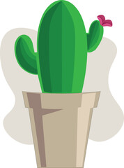 cactus in flowerpot