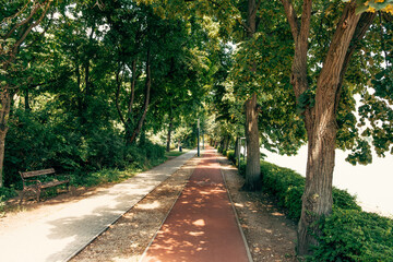 Modern walkway and running path differentiated by colours shot on a sunny day in a park.