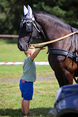 Dziecko stojące i dotykające konia - 530348560