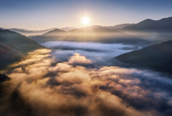 Mountains in low clouds at sunrise in autumn. Aerial view of mountain peak in fog in fall. Beautiful landscape with rocks, forest, sun, purple sky. Top view of mountain valley in clouds. Foggy hills