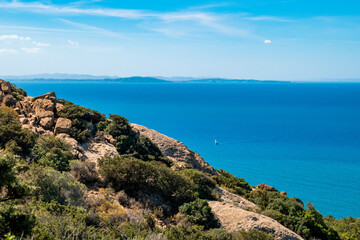 Fototapeta premium forest and sea