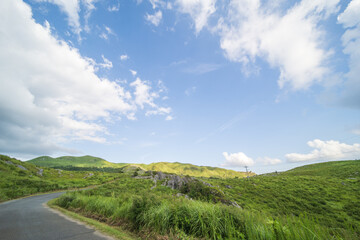 夏の爽やかな青空と緑の野原