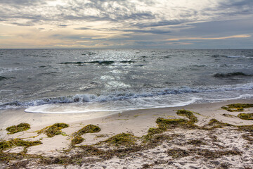 Fototapeta premium Die Wellen am Ostseestrand